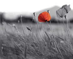 « POUR LA SPLENDEUR NOUVELLE / DE L’ANCIEN AVRIL ». RACONTER LA RÉSISTANCE ITALIENNE AU XXIÈME SIÈCLE