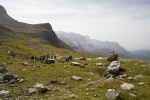 PROGRAMME DES RANDONN�ES POUR 2013