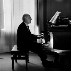 POLLINI PERPECTIVES 