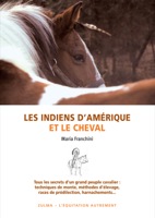 LES INDIENS DAMRIQUE ET LE CHEVAL