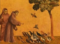 GIOTTO E COMPAGNI 