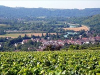 AUTOUR DE SAACY : LA VALLE DE LA MARNE ET LES VIGNES