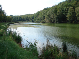 FORT DOMANIALE DE VERSAILLES