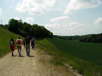 LA VALLE DE LA TAUPE