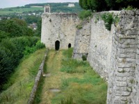 LES VIGNES DE CHZY SUR MARNE  CHTEAU-THIERRY 