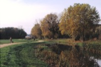 LE LONG DE LORGE, DE SAINTE-GENEVIVE DES BOIS  ARPAJON