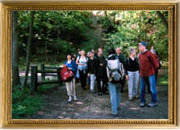 Forêt de Compiègne